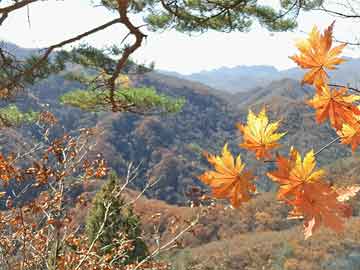 姜堰城区最新规划揭晓，未来城市蓝图揭秘