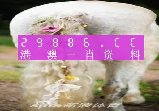 澳门一肖一码一l必开一肖,实地观察解释定义_XSP81.508感知版