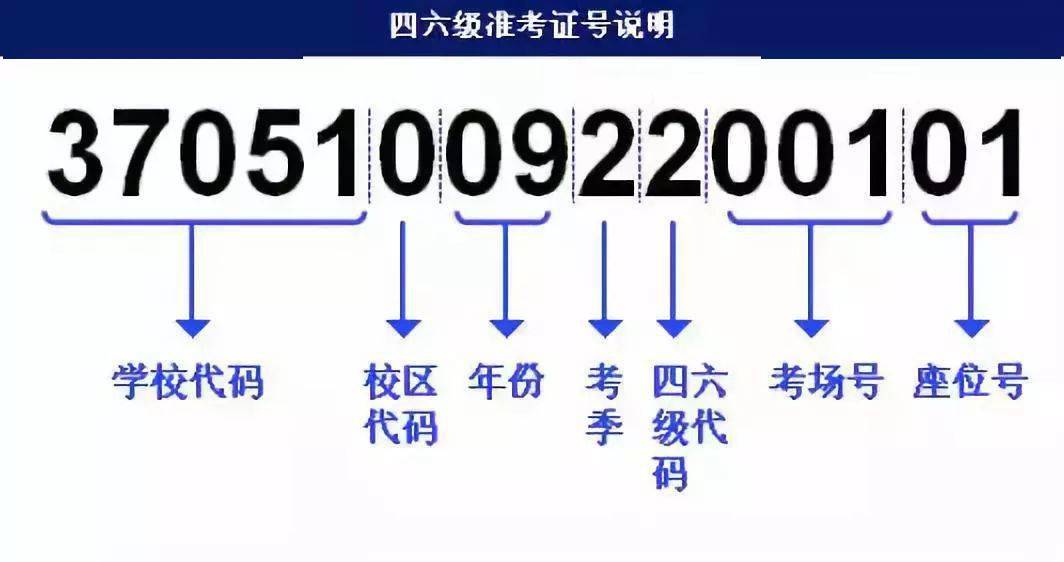 494949澳门今晚开奖什么,实时处理解答计划_ZPA97.229家庭版