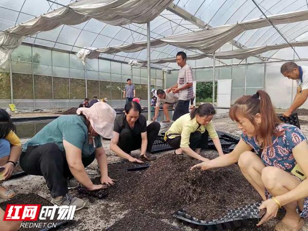 保靖县各局长名单揭秘，自然美景探索之旅启动