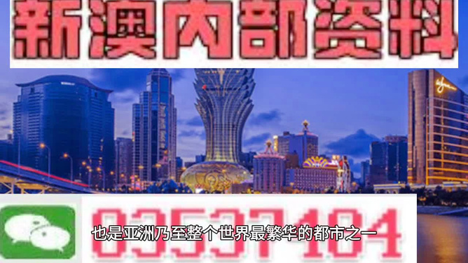 2024新澳门正版精准免费大全,策略规划_开放版91.315