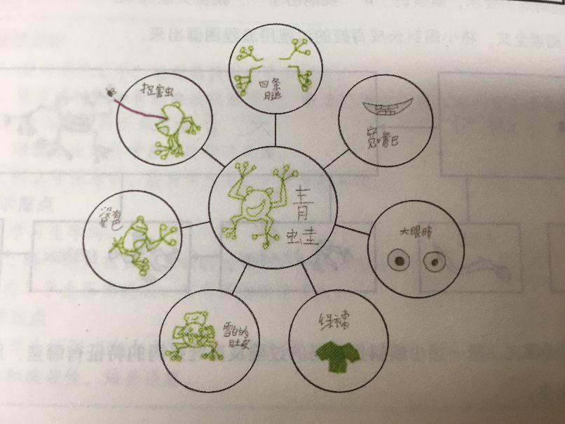 最新小蝌蚪,最新小蝌蚪，如何观察与记录蝌蚪的成长过程