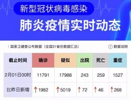 时代背景下的审视，肺炎疫情引发的最新假期调整与影响