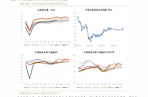 洞悉股市语言，从股票代码开头解读股市动态